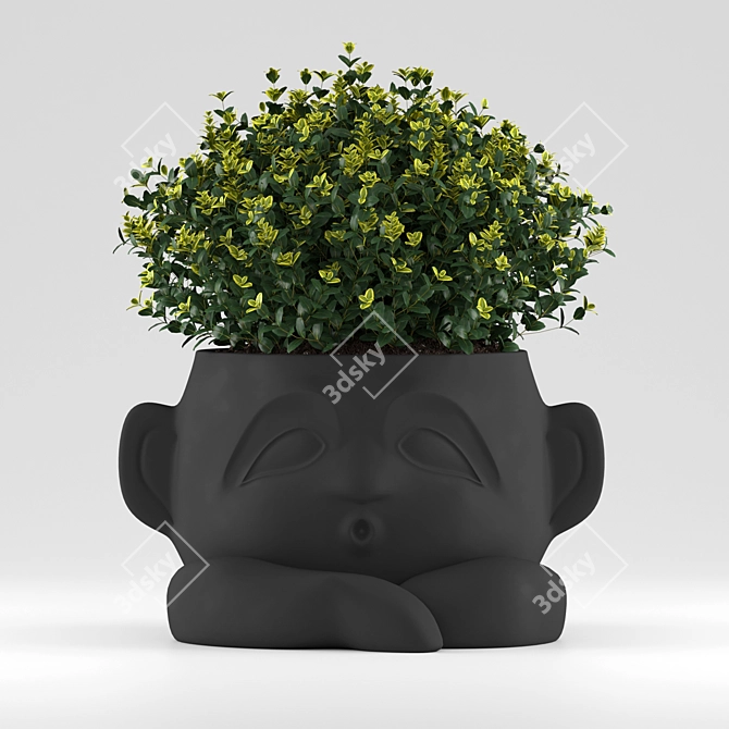 Modern Harris Design Planter for Flowers 3D model image 1