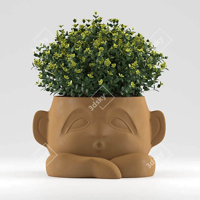 Modern Harris Design Planter for Flowers 3D model image 3