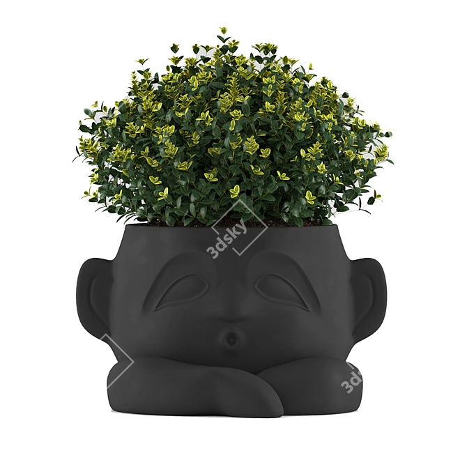 Modern Harris Design Planter for Flowers 3D model image 5