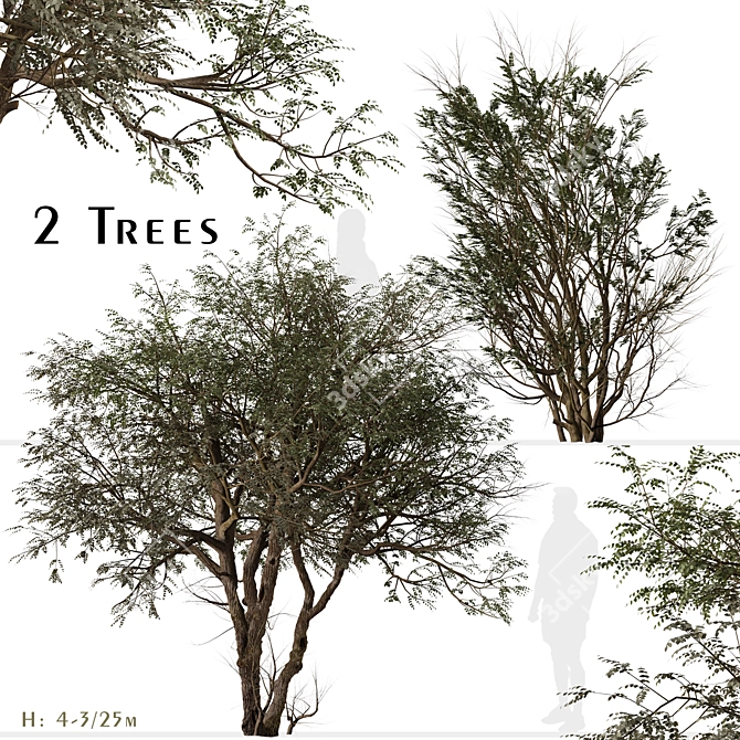 "Ghaf Tree Set: Sustainable Desert Beauty 3D model image 1
