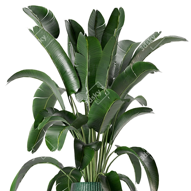 Greenery Galore: Indoor Plant Set 3D model image 3