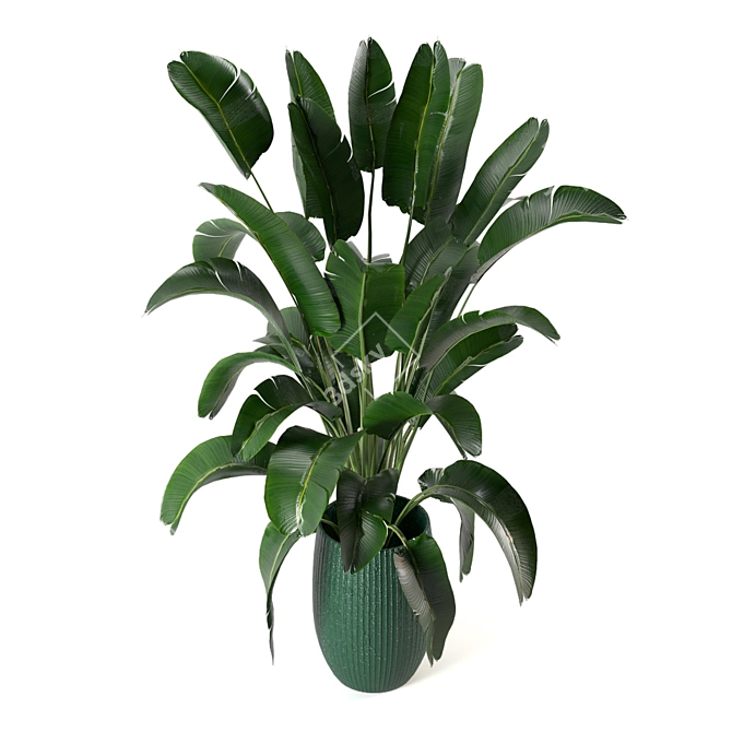 Greenery Galore: Indoor Plant Set 3D model image 6