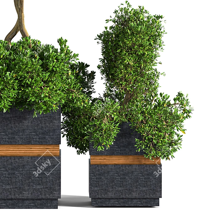 Versatile Outdoor Plant Set 3D model image 2