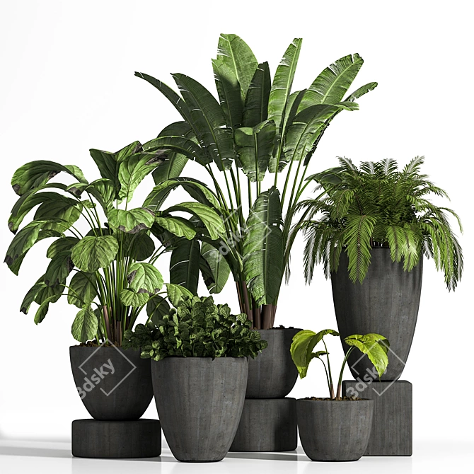 Elegant Indoor Plant Set 3D model image 1