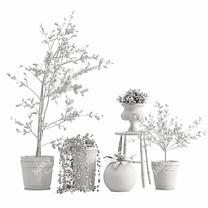 Indoor Plant Variety Pack 3D model image 3