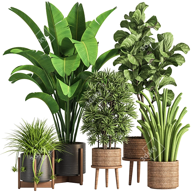 Ultimate Indoor Plant Collection 3D model image 1