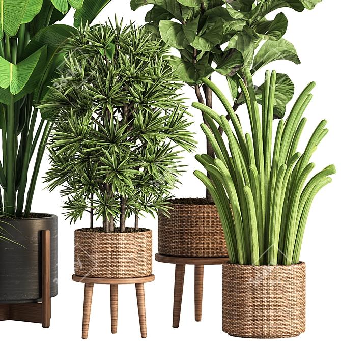 Ultimate Indoor Plant Collection 3D model image 2