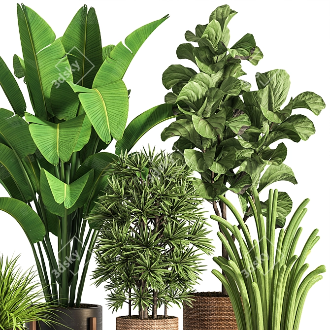 Ultimate Indoor Plant Collection 3D model image 4