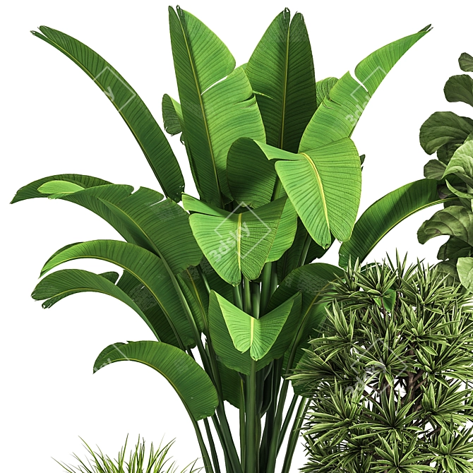 Ultimate Indoor Plant Collection 3D model image 5