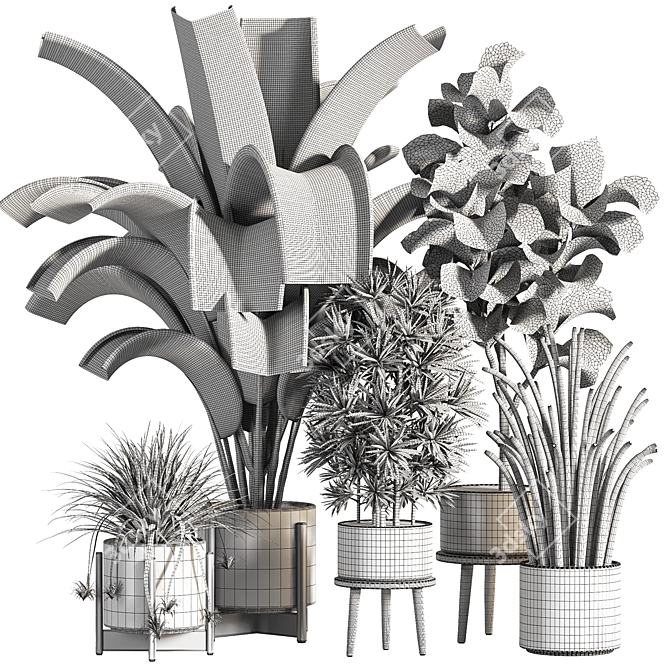 Ultimate Indoor Plant Collection 3D model image 6