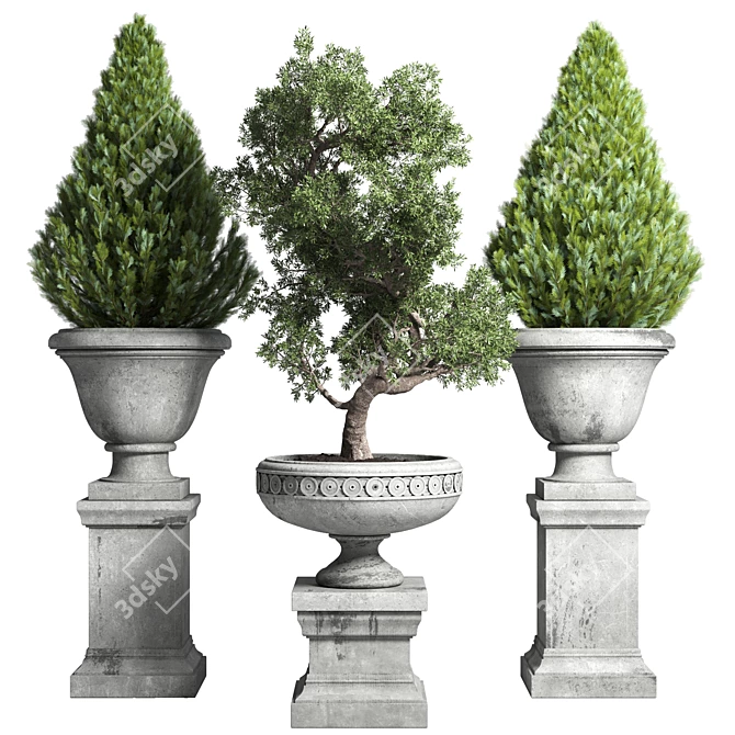 Classic Concrete Bonsai Tree: Outdoor Collection 3D model image 1