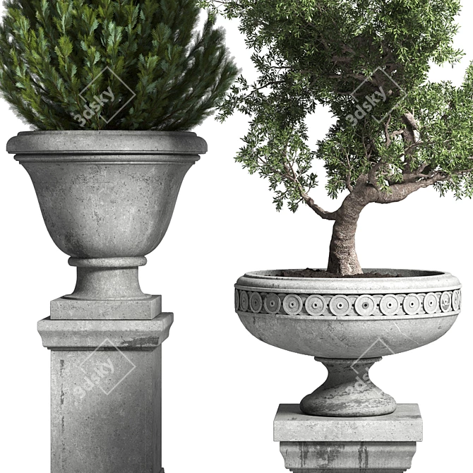 Classic Concrete Bonsai Tree: Outdoor Collection 3D model image 4