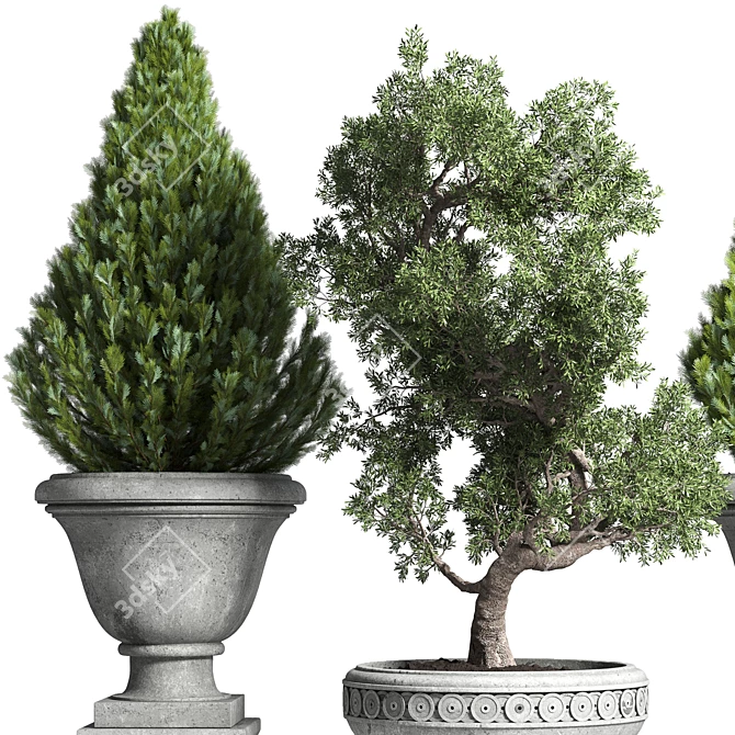 Classic Concrete Bonsai Tree: Outdoor Collection 3D model image 5