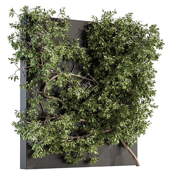 Wall-mounted Ivy Plant Set 3D model image 1