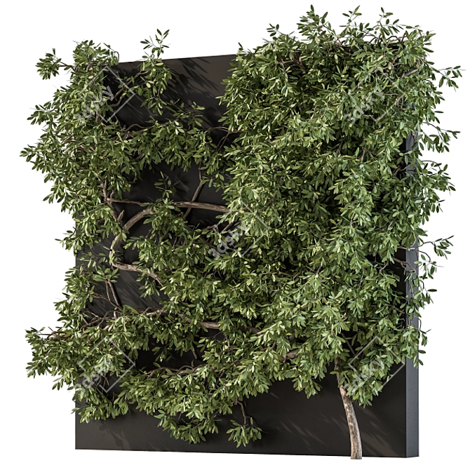 Wall-mounted Ivy Plant Set 3D model image 2