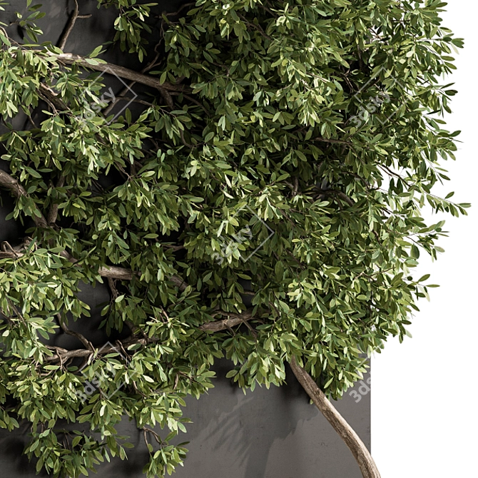 Wall-mounted Ivy Plant Set 3D model image 3