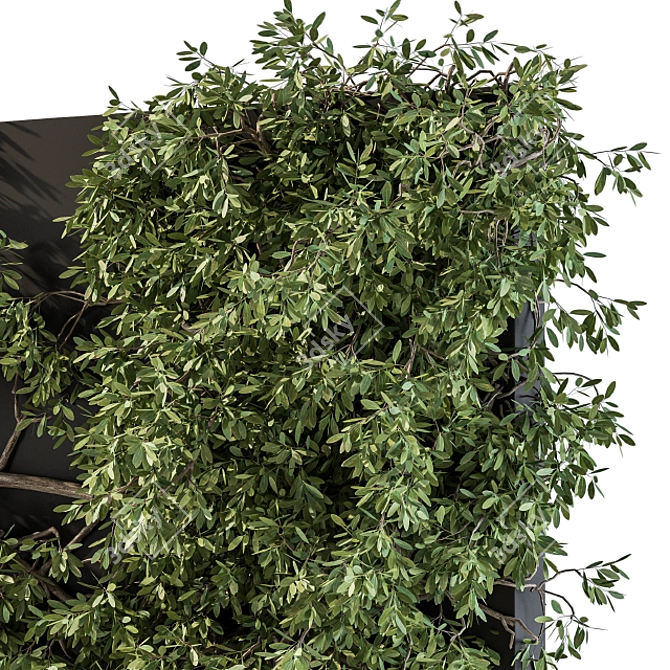 Wall-mounted Ivy Plant Set 3D model image 4