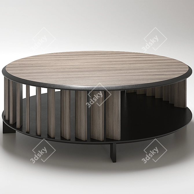 Living Divani Islands Coffee Table 3D model image 3