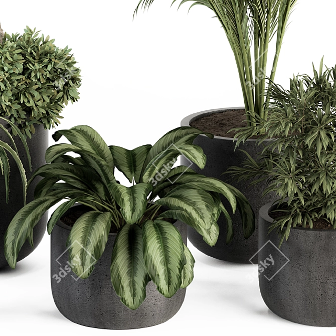 Green Oasis Succulent Set 3D model image 2