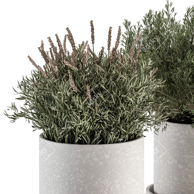 Small Indoor Plant Set in Pot 3D model image 4