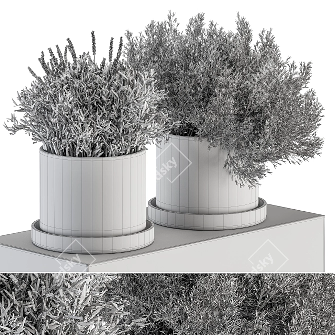 Small Indoor Plant Set in Pot 3D model image 7