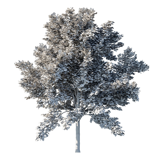 Vibrant Acer Rubrum Red Tree 3D model image 3