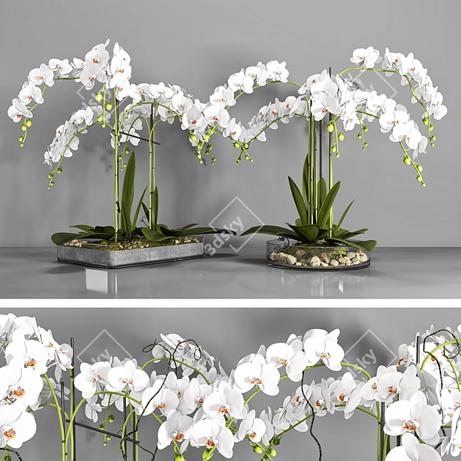 Elegant Orchid: Vase 108 3D model image 1