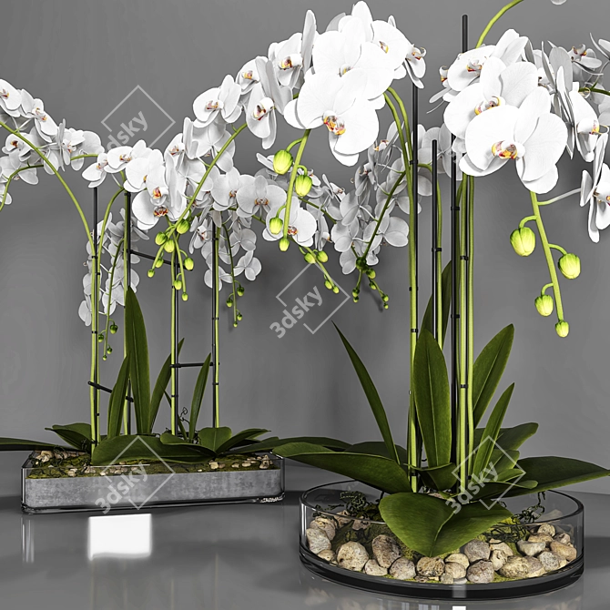 Elegant Orchid: Vase 108 3D model image 2