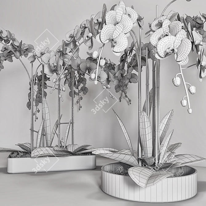 Elegant Orchid: Vase 108 3D model image 4