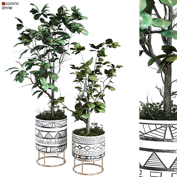 Elegant Plant Vase Set 3D model image 1