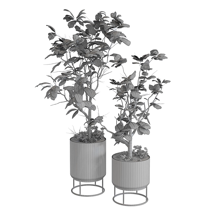 Elegant Plant Vase Set 3D model image 6