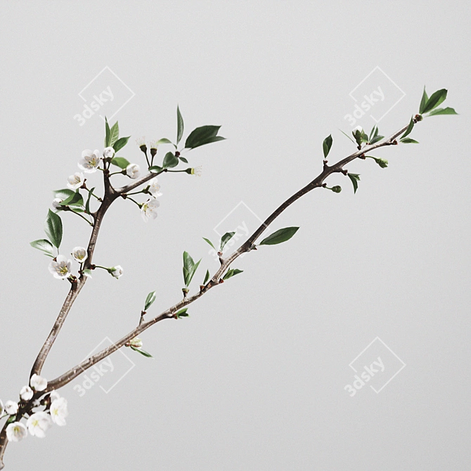 Elegant Aluminum Vases with Cherry Branch 3D model image 7