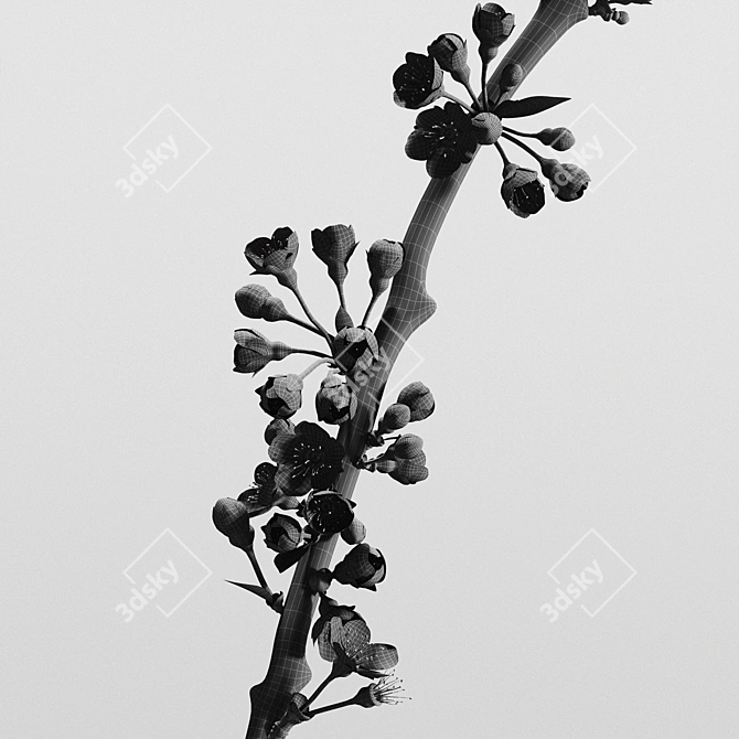 Elegant Aluminum Vases with Cherry Branch 3D model image 22