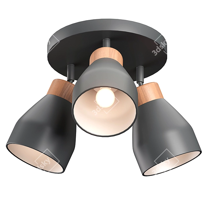 Contemporary Ceiling Lamp: Albert V2 3D model image 3