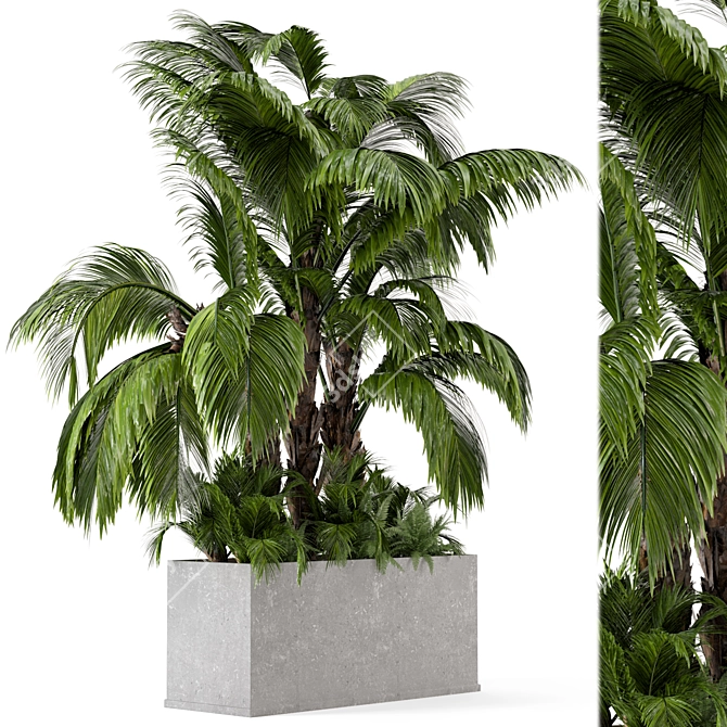  Outdoor Garden Bush and Tree Set 3D model image 2