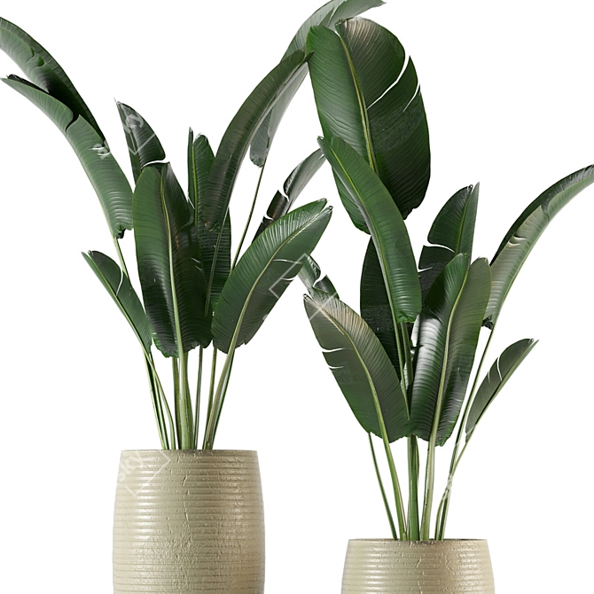 Lush Indoor Plants Set 3D model image 3