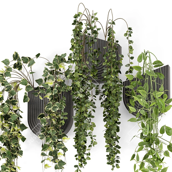 Concrete Pot Indoor Hanging Plants 3D model image 3