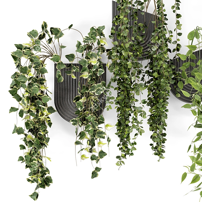 Concrete Pot Indoor Hanging Plants 3D model image 4