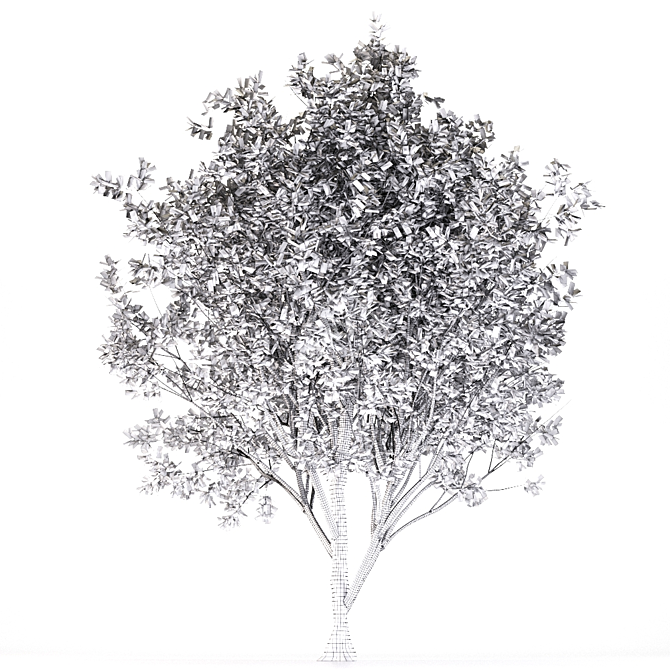 European Nettle Tree: Summer Delight! 3D model image 4