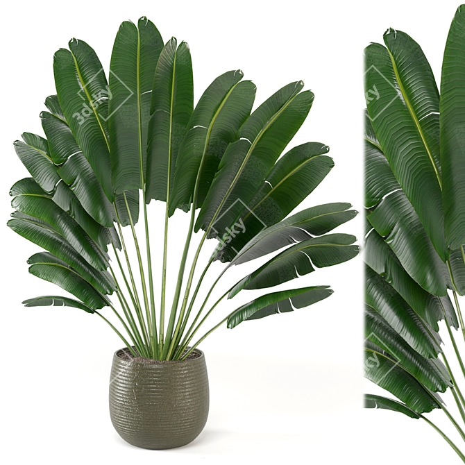 Outdoor Plants Set - Refresh Your Space 3D model image 4