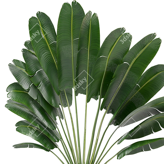 Outdoor Plants Set - Refresh Your Space 3D model image 5
