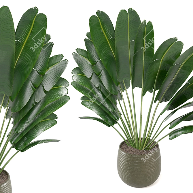 Outdoor Plants Set - Refresh Your Space 3D model image 6