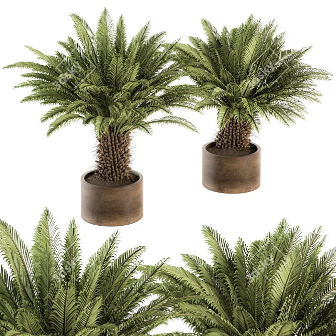 Tropical Oasis: Outdoor Plant Set 3D model image 1