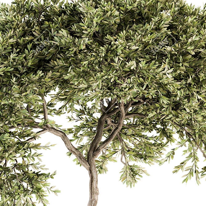 Evergreen Tree Set - 40 Pieces 3D model image 5