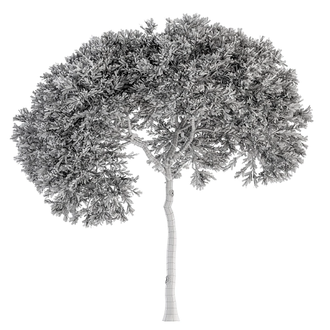 Evergreen Tree Set - 40 Pieces 3D model image 6