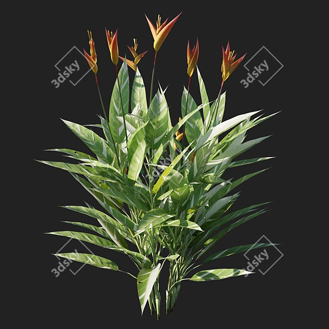 Variegated Heliconia - Vibrant Tropical Plant 3D model image 2