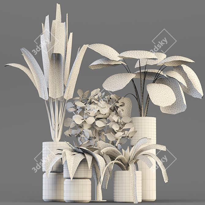 5-Piece Indoor Plant Pot Set 3D model image 3