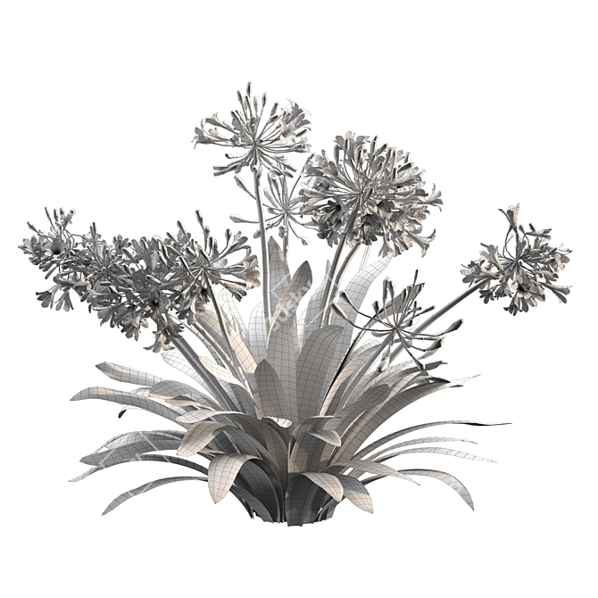 Agapanthus 2013 3D Model 3D model image 7