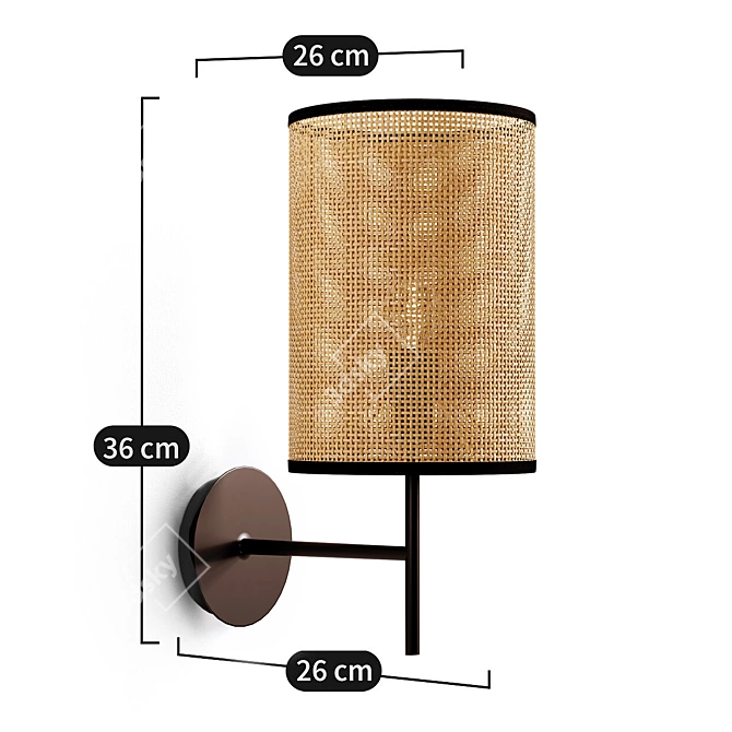 Cara Metal & Braided Wall Lamp 3D model image 4