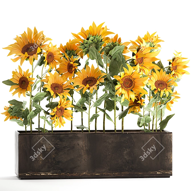 Rustic Sunflower Collection 3D model image 1